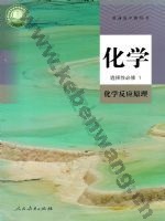 人教版高二化学选择性必修1 化学反应原理